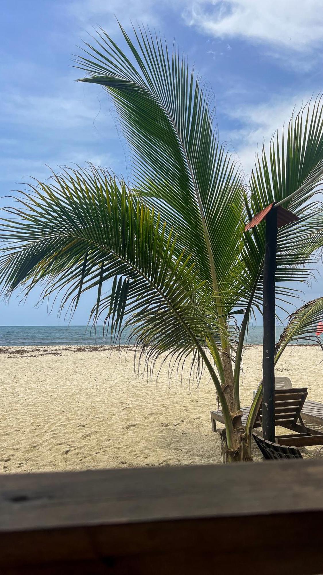 Hostal Mocambo Beach Guachaca Exterior photo